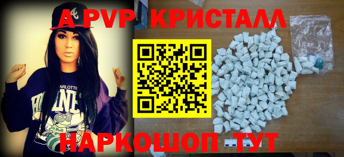 Альфа ПВП СК КРИС Карачаевск