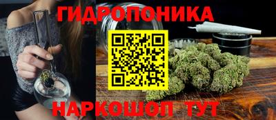 скорость Берёзовский