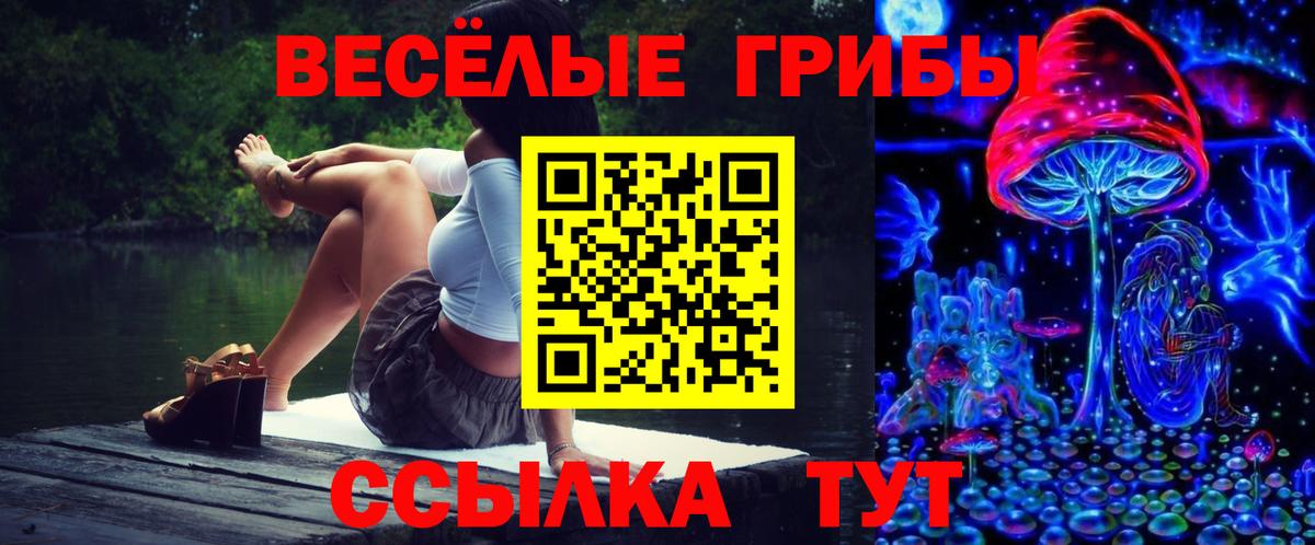 Псилоцибиновые грибы Psilocybine cubensis  Вход с VPN  Карачаевск  Галлюциногенные грибы Cubensis 