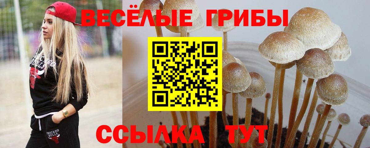 Псилоцибиновые грибы Magic Shrooms Карачаевск